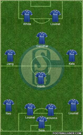 FC Schalke 04 Formation 2013