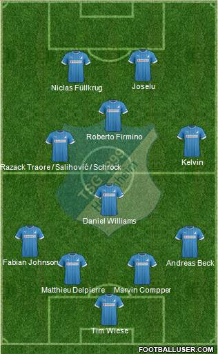 TSG 1899 Hoffenheim Formation 2013