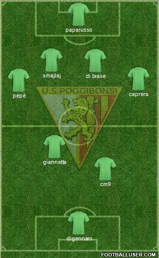 Poggibonsi Formation 2013