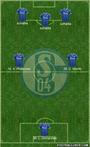 FC Schalke 04 Formation 2013