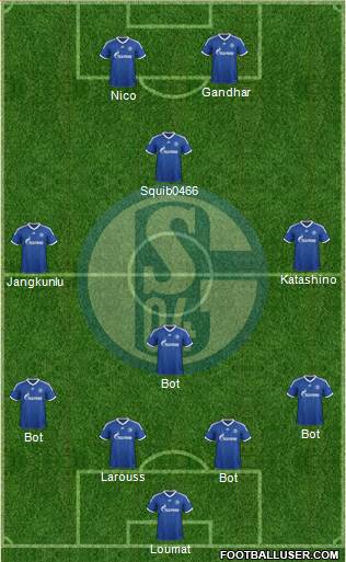 FC Schalke 04 Formation 2013