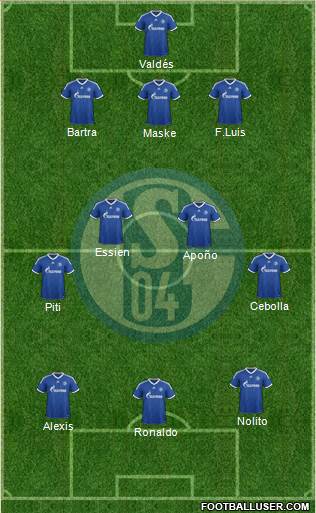 FC Schalke 04 Formation 2013