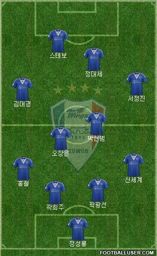 Suwon Samsung Blue Wings Formation 2013