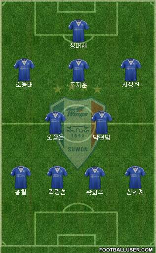 Suwon Samsung Blue Wings Formation 2013