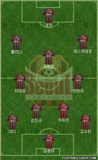 FC Seoul Formation 2013