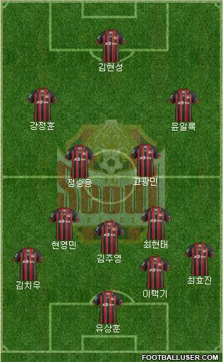 FC Seoul Formation 2013