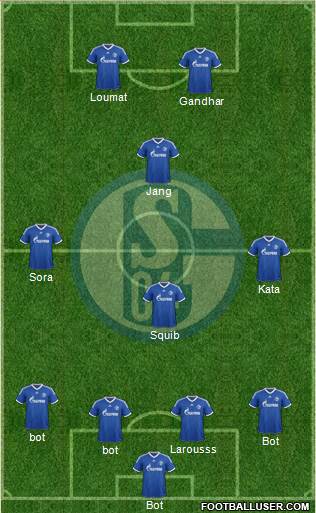 FC Schalke 04 Formation 2013