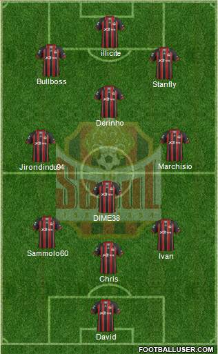 FC Seoul Formation 2013