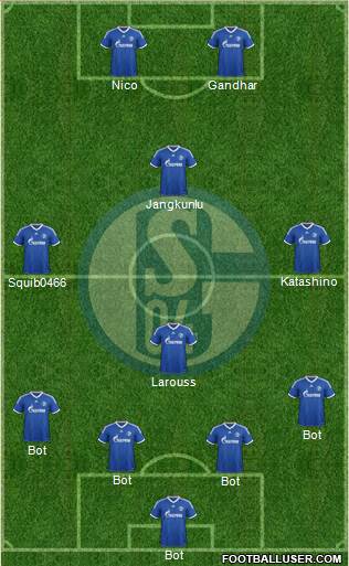 FC Schalke 04 Formation 2013