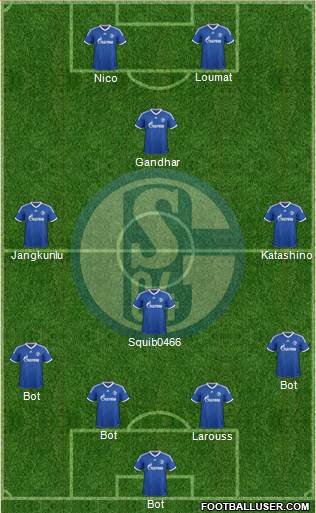 FC Schalke 04 Formation 2013