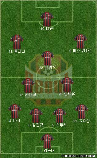 FC Seoul Formation 2013