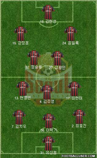 FC Seoul Formation 2013