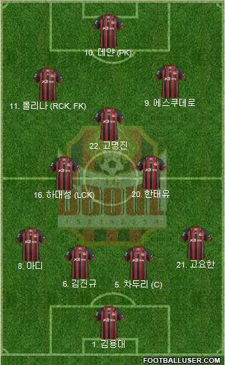 FC Seoul Formation 2013