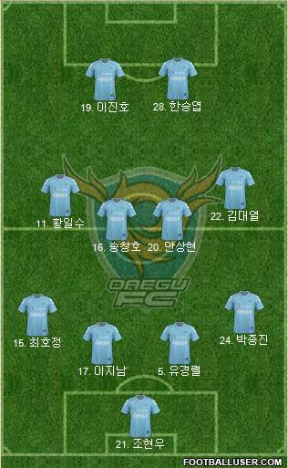 Daegu FC Formation 2013