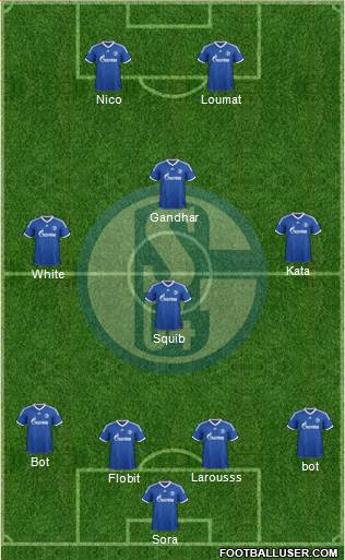 FC Schalke 04 Formation 2013