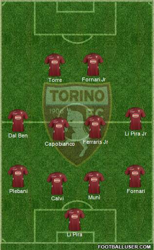 Torino Formation 2013