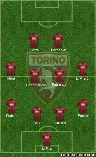 Torino Formation 2013