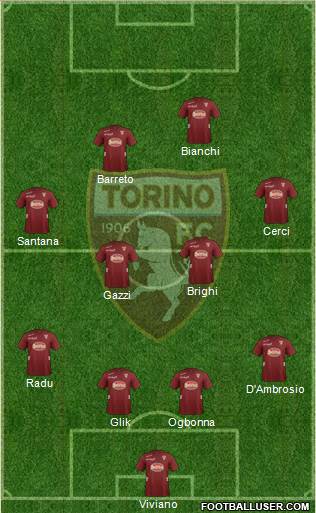 Torino Formation 2013