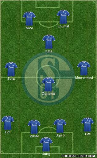 FC Schalke 04 Formation 2013