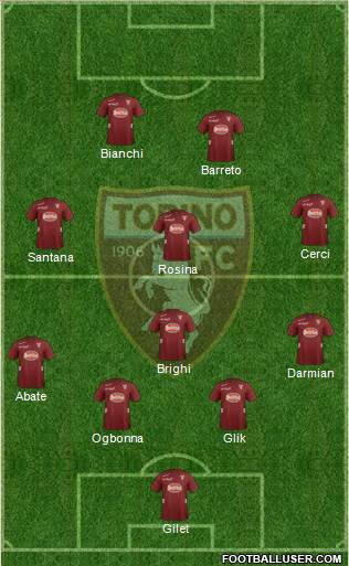 Torino Formation 2013