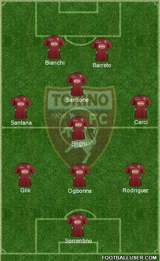 Torino Formation 2013