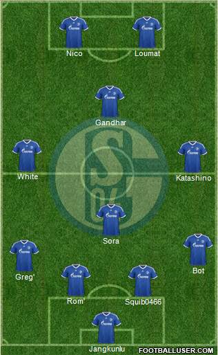 FC Schalke 04 Formation 2013