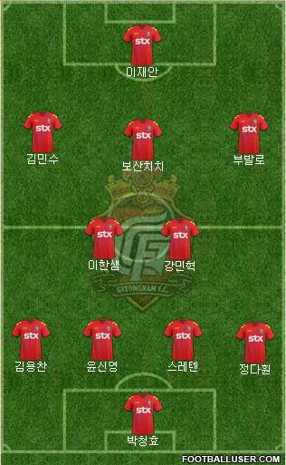 Gyeongnam FC Formation 2013