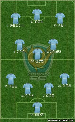 Daegu FC Formation 2013