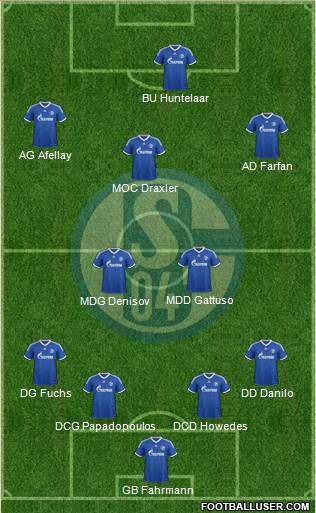 FC Schalke 04 Formation 2013