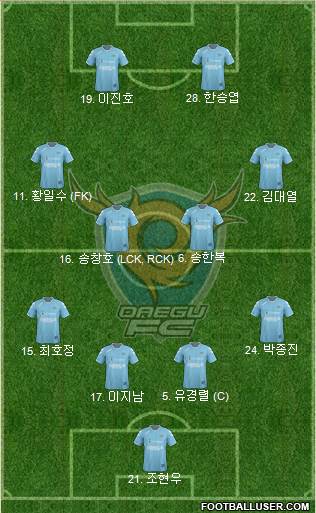 Daegu FC Formation 2013