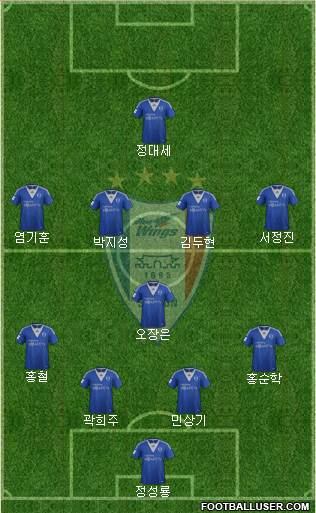 Suwon Samsung Blue Wings Formation 2013