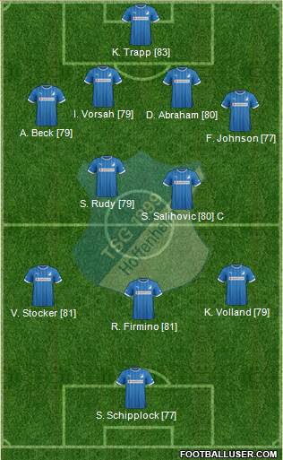 TSG 1899 Hoffenheim Formation 2013