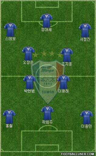 Suwon Samsung Blue Wings Formation 2013