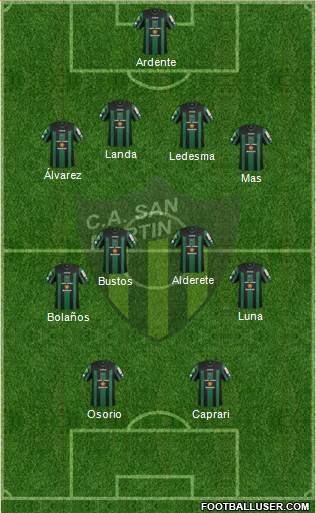 San Martín de San Juan Formation 2013