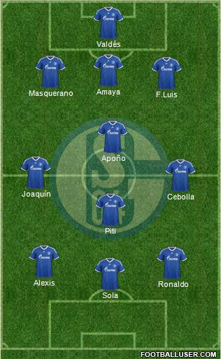 FC Schalke 04 Formation 2013