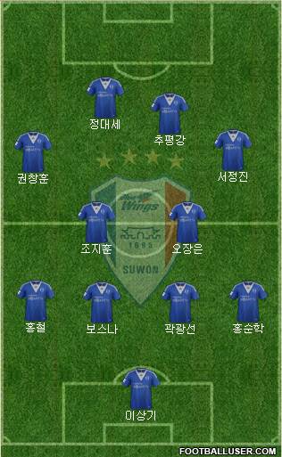 Suwon Samsung Blue Wings Formation 2013