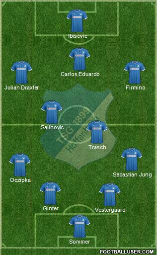 TSG 1899 Hoffenheim Formation 2013