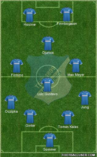 TSG 1899 Hoffenheim Formation 2013