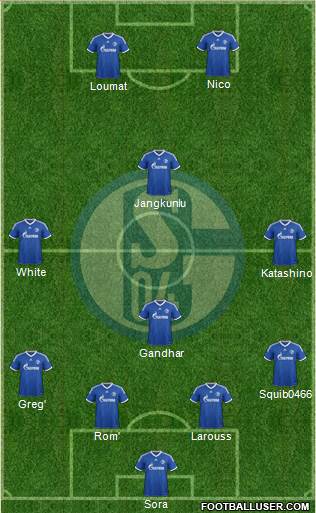 FC Schalke 04 Formation 2013