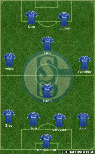 FC Schalke 04 Formation 2013