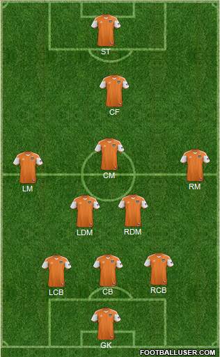 Houston Dynamo Formation 2013