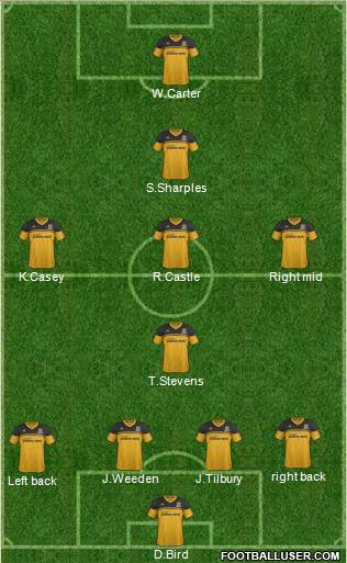 Hull City Formation 2013