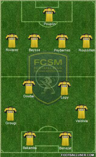 FC Sochaux-Montbéliard Formation 2013