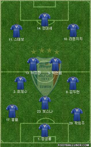 Suwon Samsung Blue Wings Formation 2013