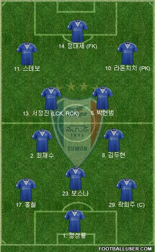 Suwon Samsung Blue Wings Formation 2013