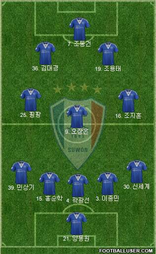 Suwon Samsung Blue Wings Formation 2013