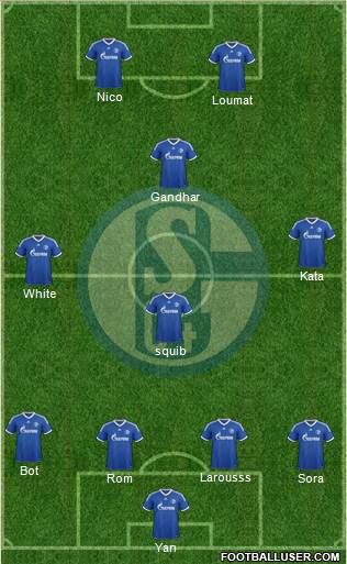 FC Schalke 04 Formation 2013