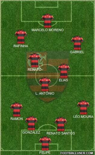 CR Flamengo Formation 2013