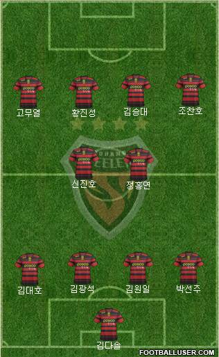 Pohang Steelers Formation 2013