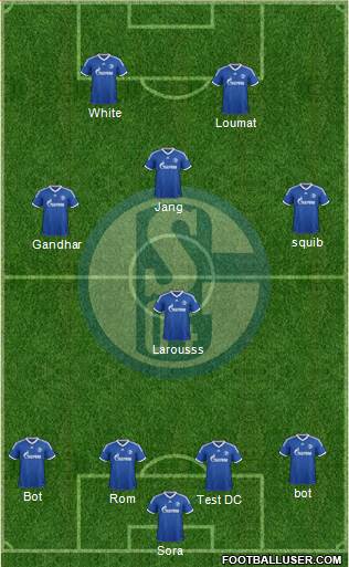 FC Schalke 04 Formation 2013